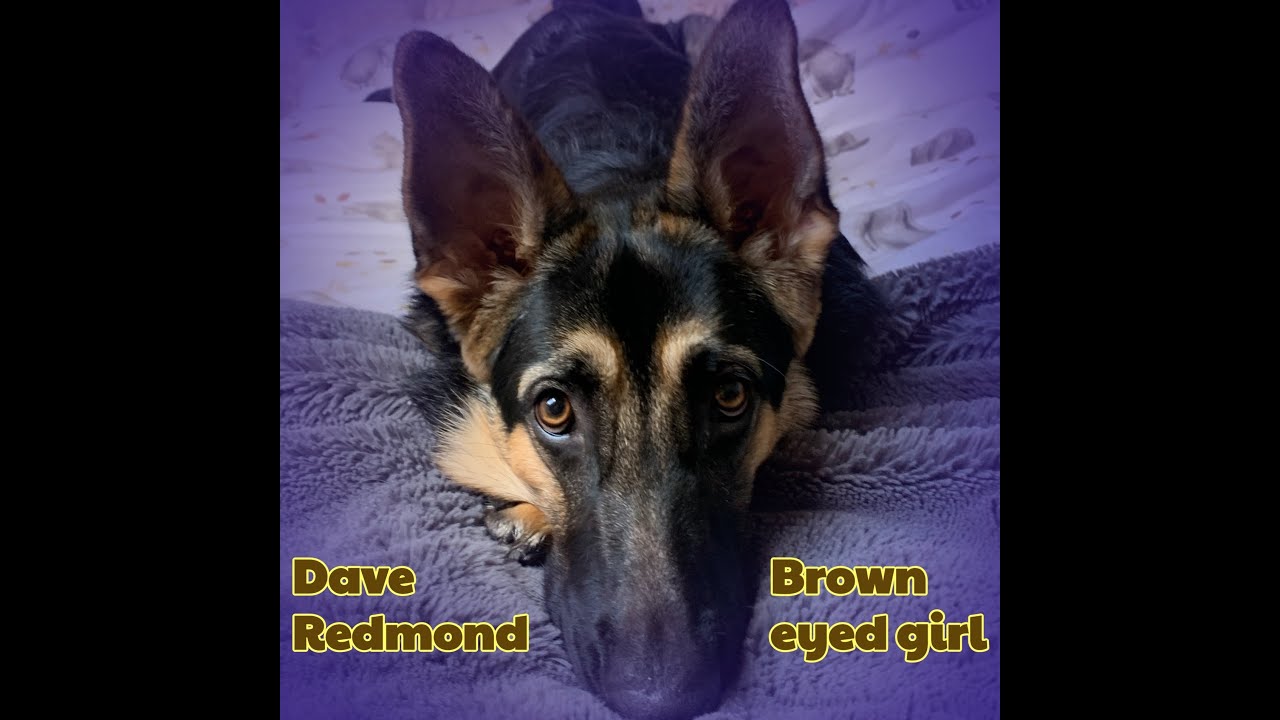Dave Redmond - Brown Eyed Girl