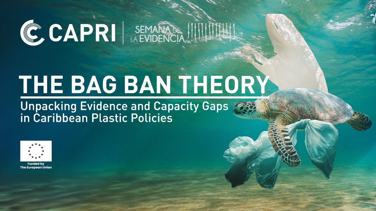 The Bag Ban Theory: Unpacking Evidence and Capacity Gaps in Caribbean Plastic Policies