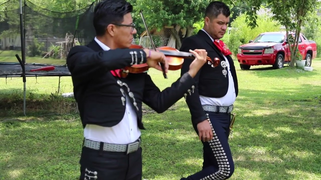 que linda esta la mañana en que vengo a saludarte#quinceañera #mariachis