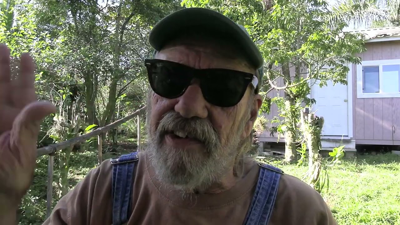 Снегопад Пепел