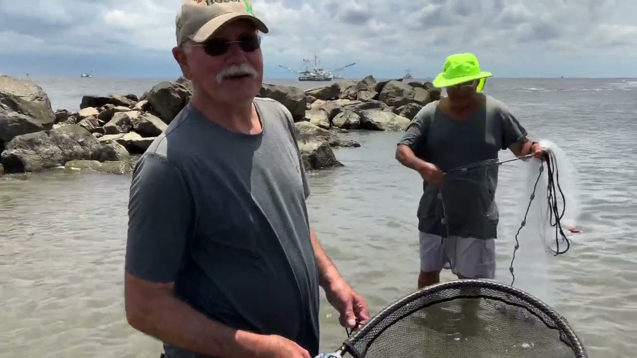 Cast net Jumbo shrimp on beach