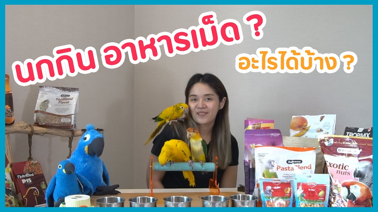 รีวิว อาหารเม็ด สำหรับนกแก้ว เยอะที่สุด!! อาหารเม็ดทุกยี่ห้อ ซื้อจากทุกร้านในจตุจักร!!