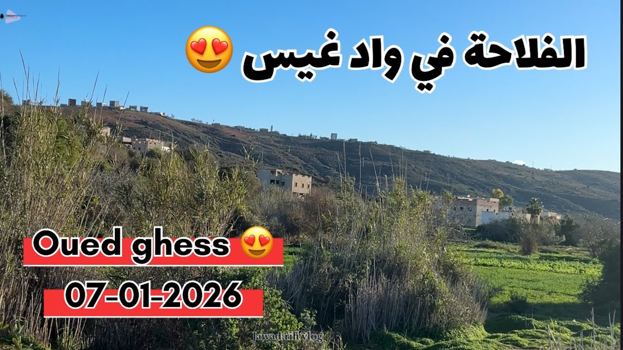 الفلاحة في واد غيس😍🌧️اكتشف معي أجواء الريف من امزورن مرورا بوكيدان ثم واد غيس وتيكارت مرورا بالزاويث