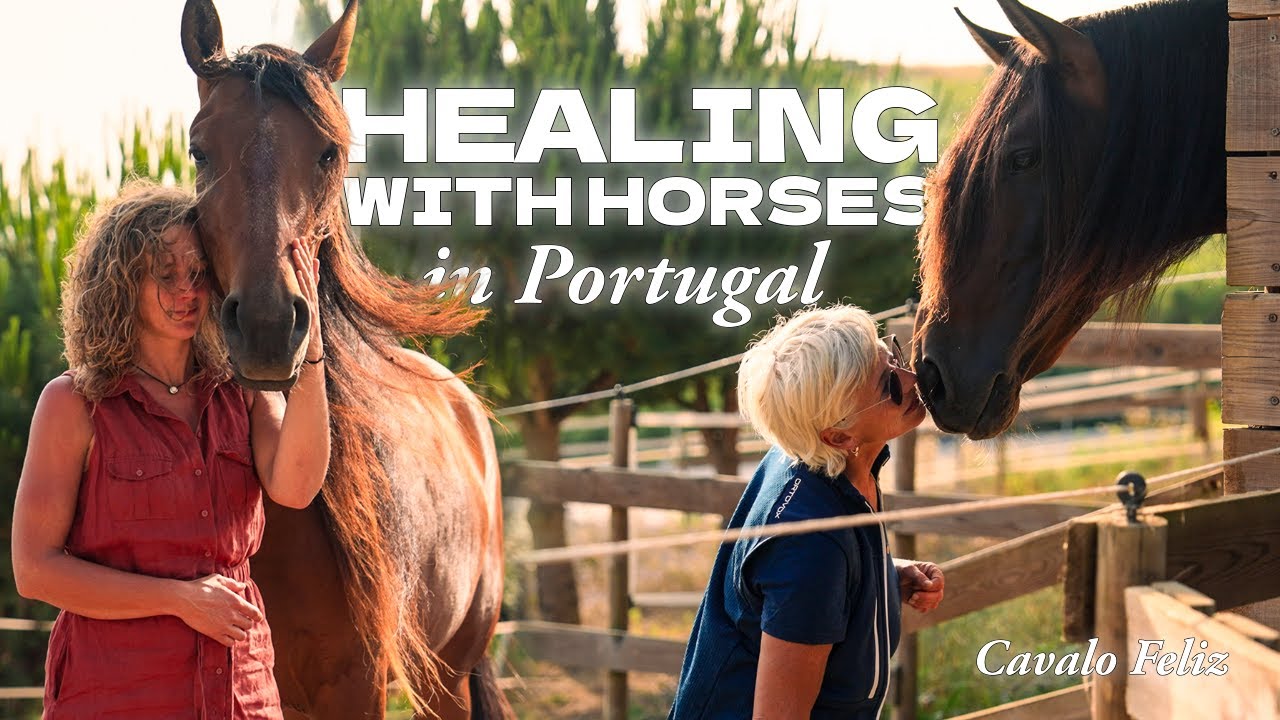 Horse Retreat & Horse-Assisted Coaching in Portugal 🌿🐴 Healing with horses at Cavalo Feliz