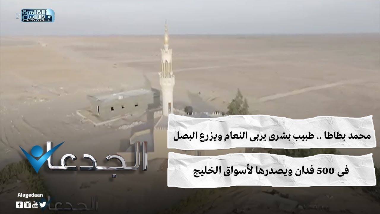 محمد بطاطا .. طبيب بشرى يربى النعام ويزرع البصل فى 500 فدان ويصدرها لأسواق الخليج