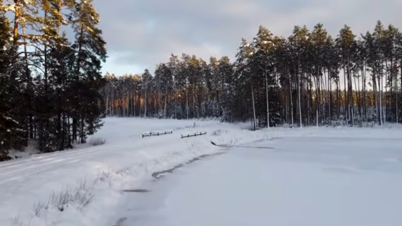 Nadleśnictwo Biłgoraj | Las zimą w okolicach Biłgoraja i Ciosmów | Zimowy las 2021 | video dron