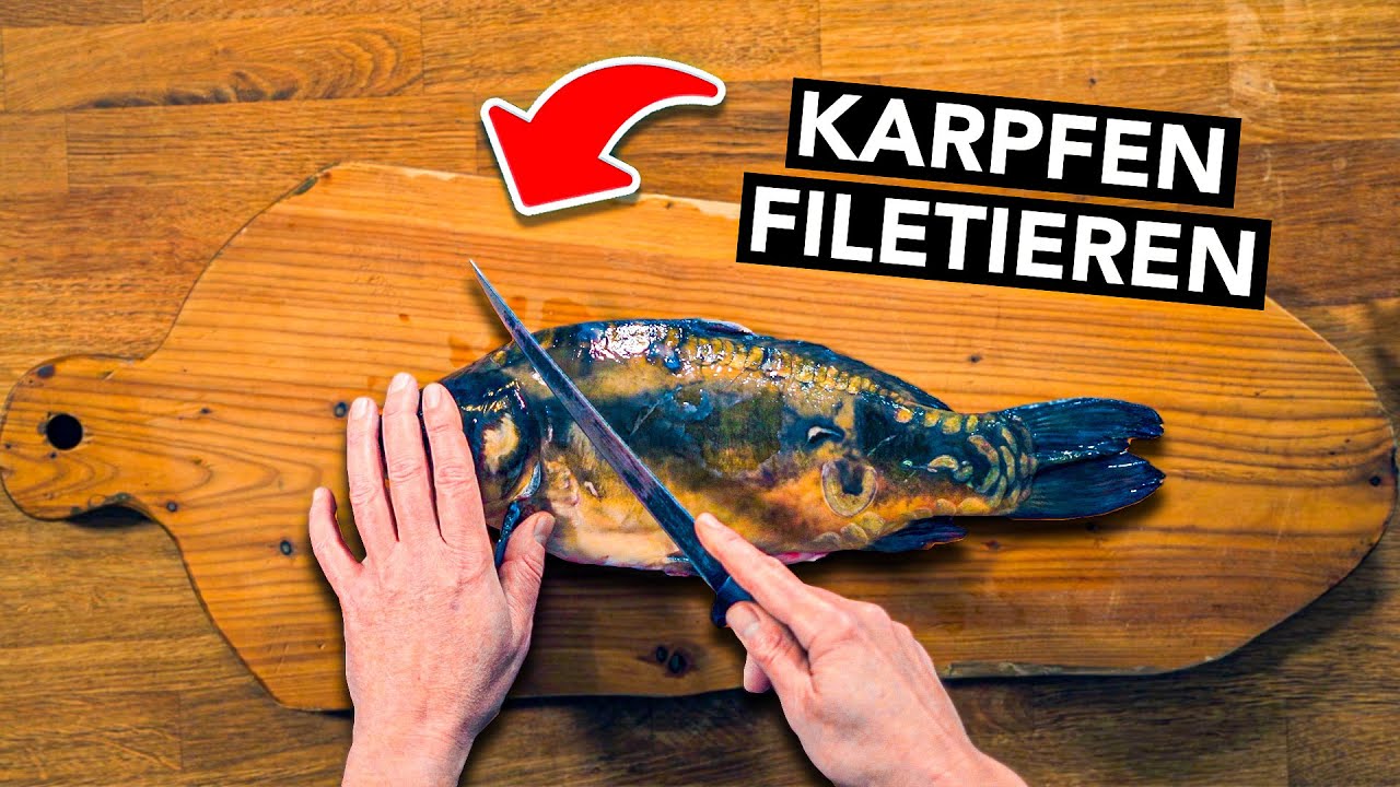 Karpfen filetieren für Anfänger 🔪 (schnell und einfach mit Geheimtipp)