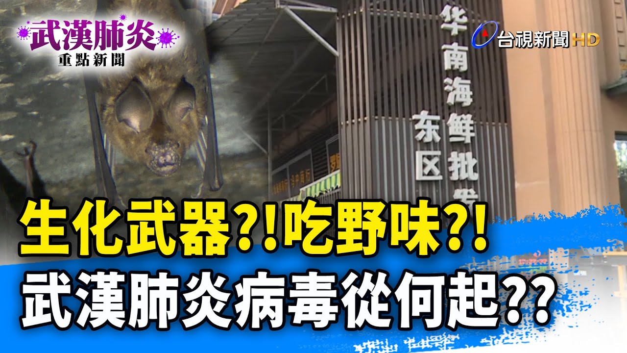 生化武器？！吃野味？！武漢肺炎病毒從何起？？【武漢肺炎重點新聞】