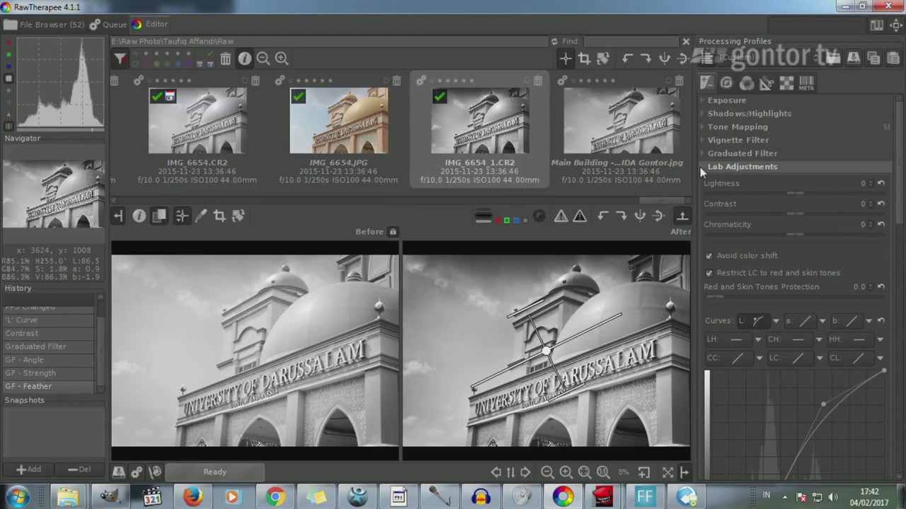 Tutorial RawTherapee untuk Pemula - Black & White Photo, High Contrast