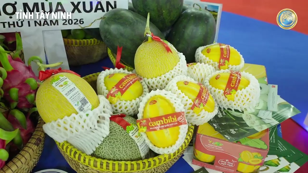 RECAP KM GIAN HÀNG TÂY NINH tại Hội chợ mùa Xuân 2026