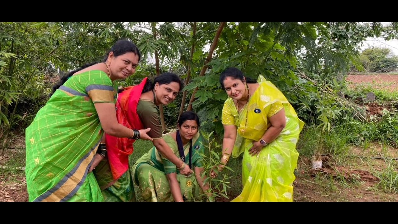 planting saplings
