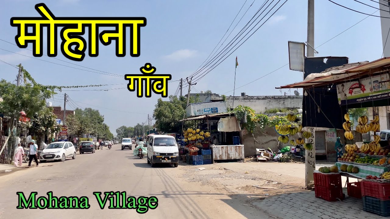 MOHANA VILLAGE मोहाना गाँव । Mohana Village Sonipat । Mohana Ki Video  #hrvpo #mohana #sonipat