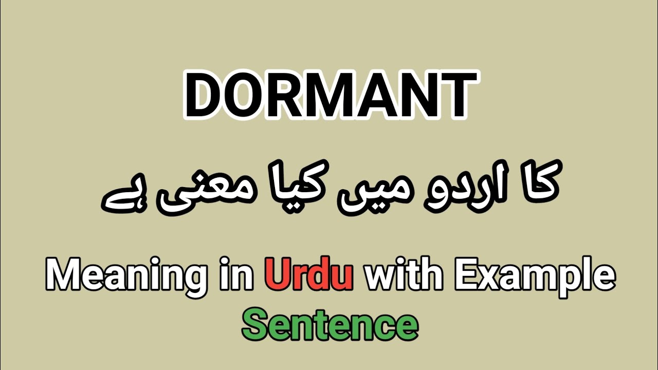 Meaning of Dormant in Urdu/hindi || Dormant ka matlab kia hota ha