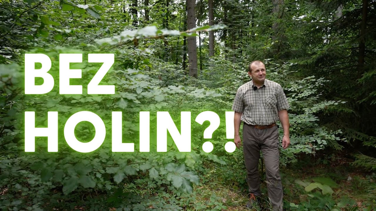 Jde to i bez holin! | Lesy jinak #1