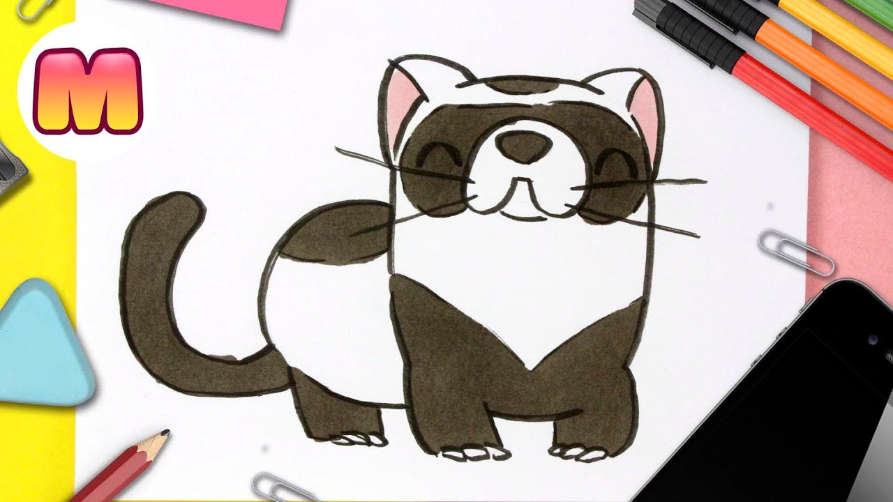 COMO DIBUJAR UN HURON KAWAII - dibujos kawaii faciles - Como dibujar animales kawaii