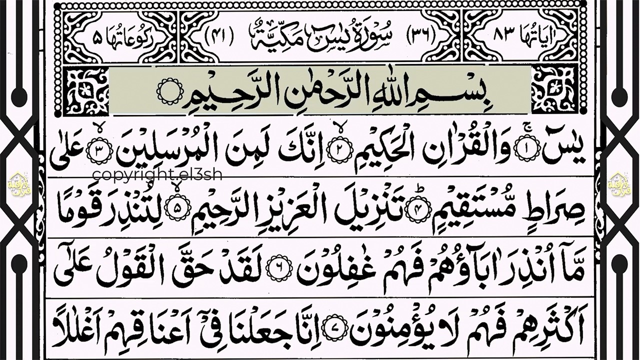 Surah Yaseen Surah Ar Rahman | Best Quran Recitation | Surah Yasin Tilawat | Episode_002