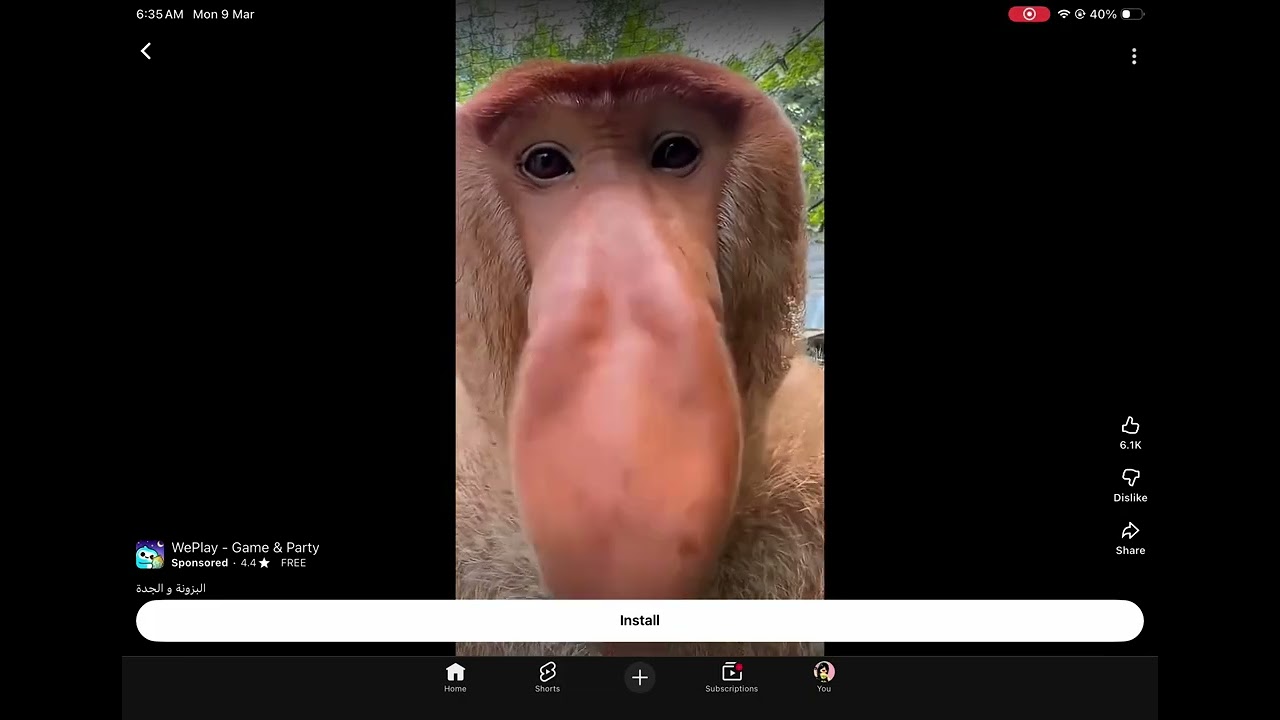 Brr brr patapim