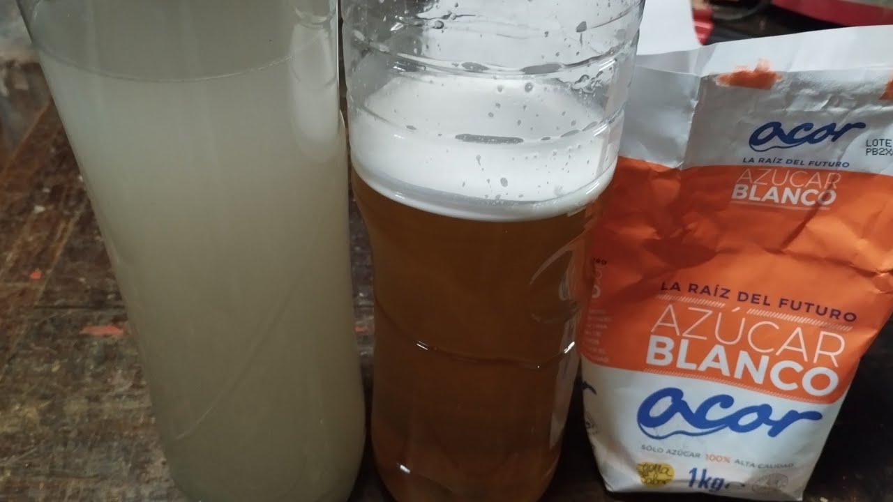 AVISPA ASIÁTICA!! ATRAYENTES PARA TRAMPAS DE AVISPAS 🧐🧐🧐🧐