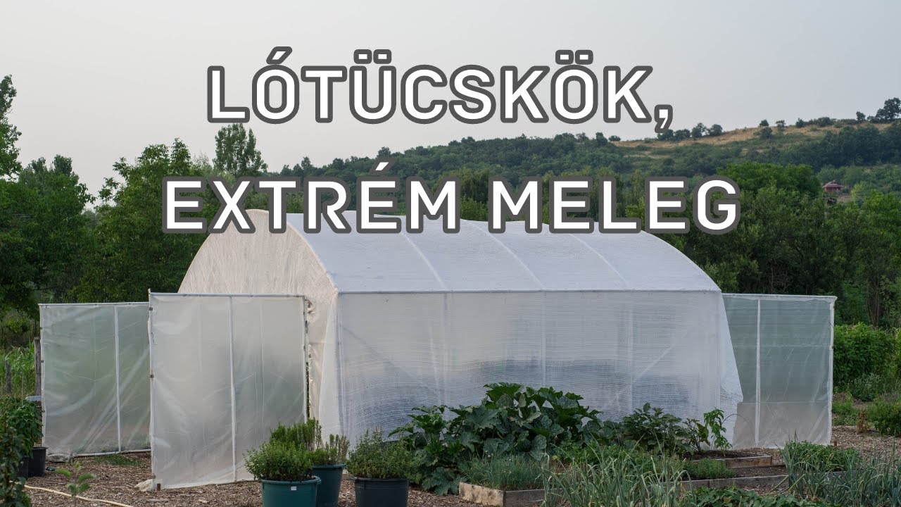Védekezés a lótücskökkel és az extrém meleggel szemben