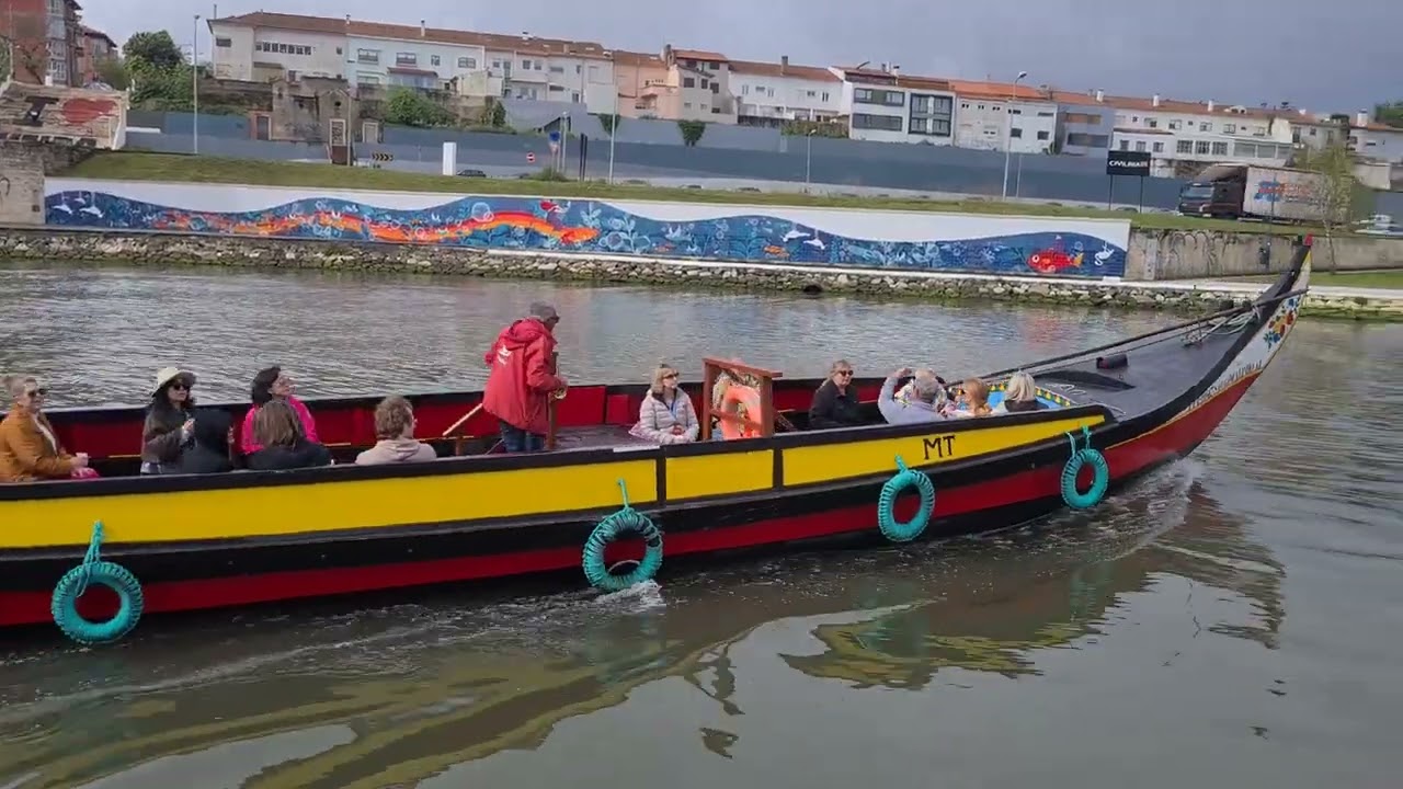 Moliceiro boats in Aveiro, Portugal