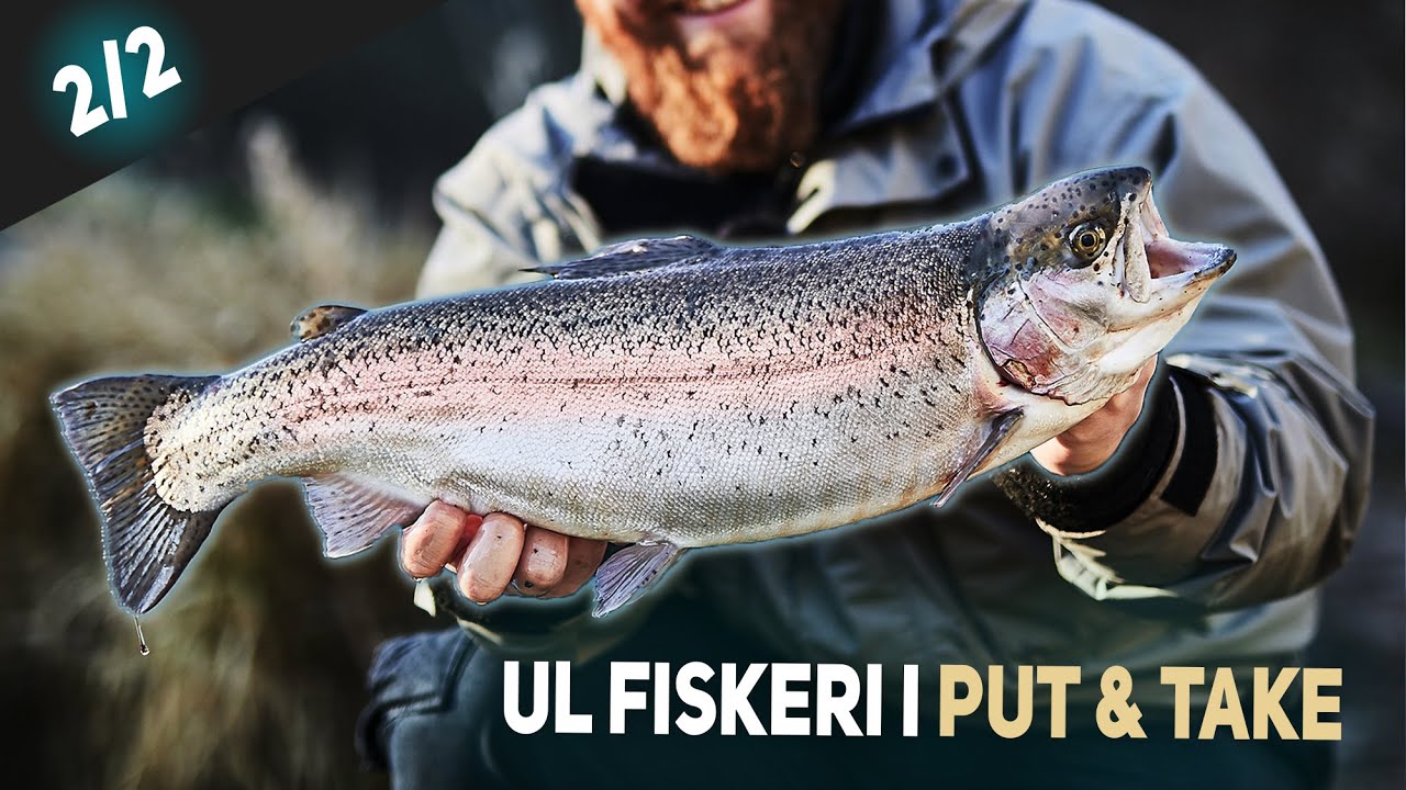 UL Fiskeri I Put & Take 2/2 - Vinter og koldt vand (inkl. grejsnak)