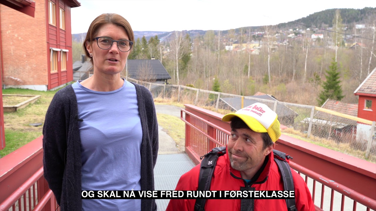 Søre Ål skole