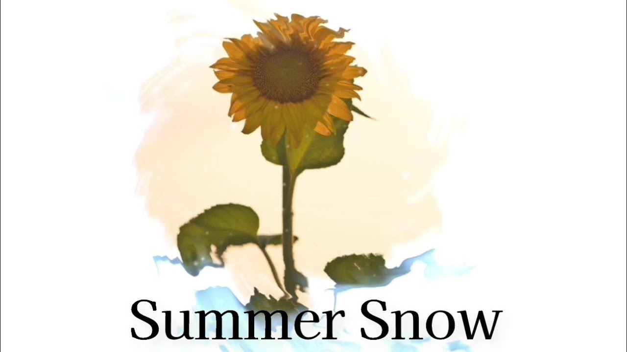 Summer Snow / タイラタ