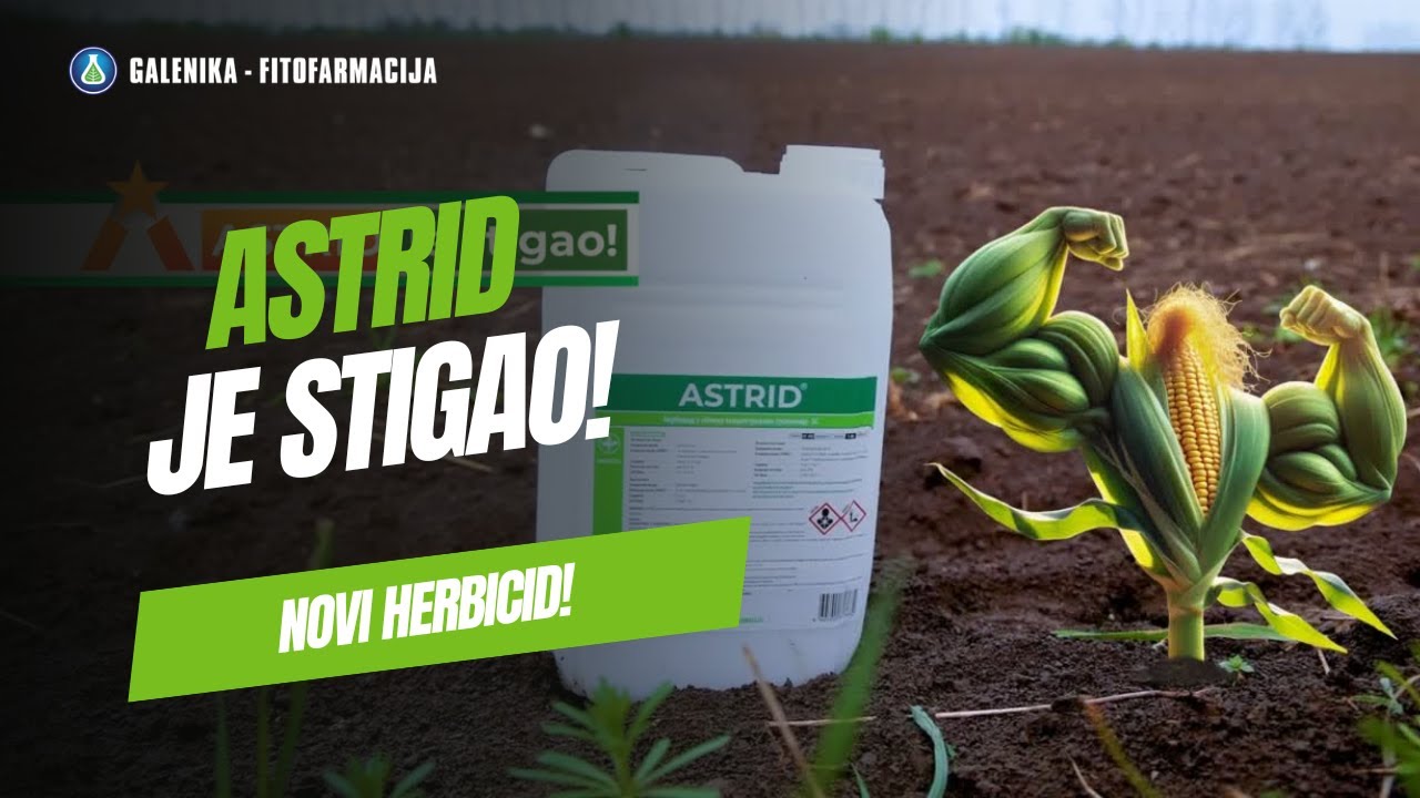 NOVI HERBICID za suzbijanje korova U KUKURUZU 🏆