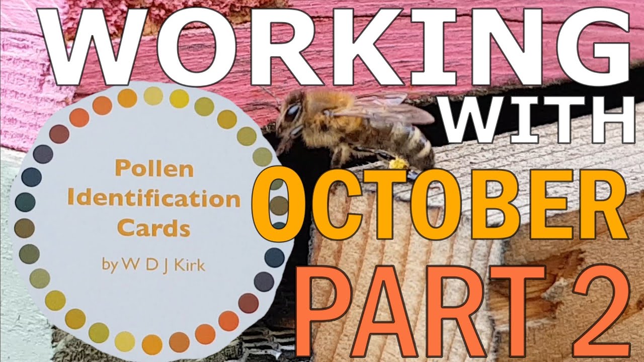 Pollen Identification Cards October to December Part 2