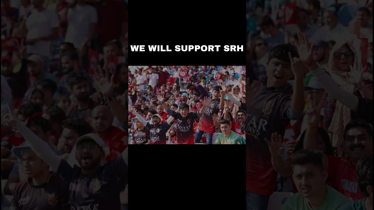 we will support srh #ytshorts #cricketshorts #srh #srhvsmi #srhfans