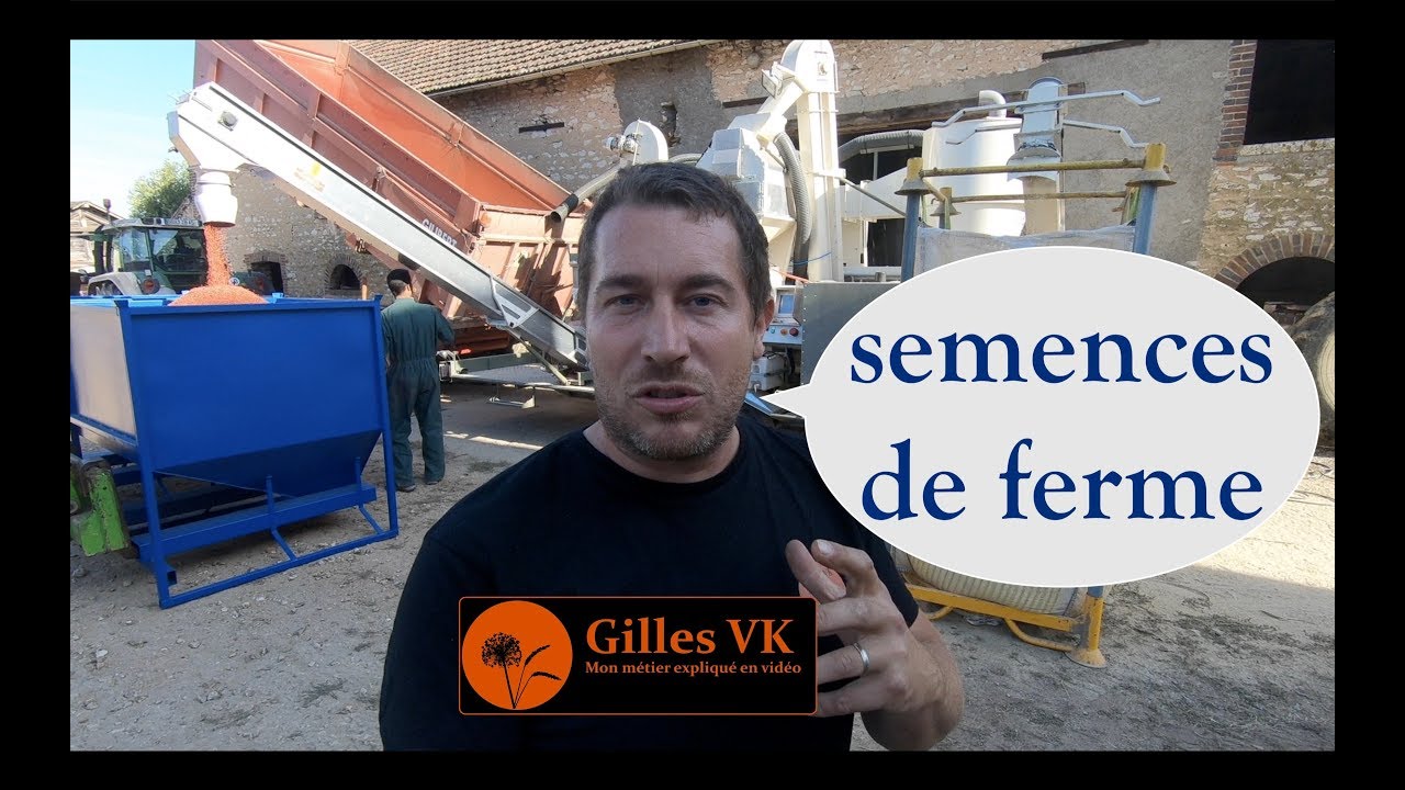 Je prépare mes semences de ferme pour les semis de blés.