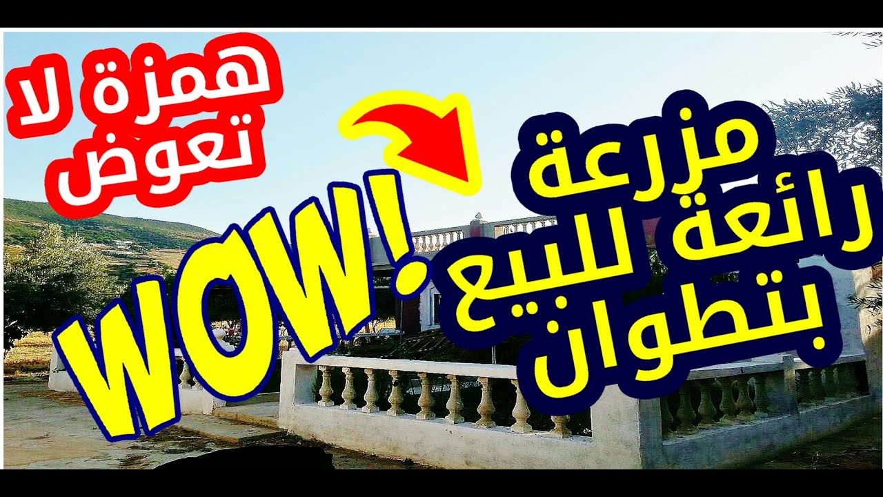 ferme à vendre à tétouan 2022 مزرعة للبيع رائعة بتطوان