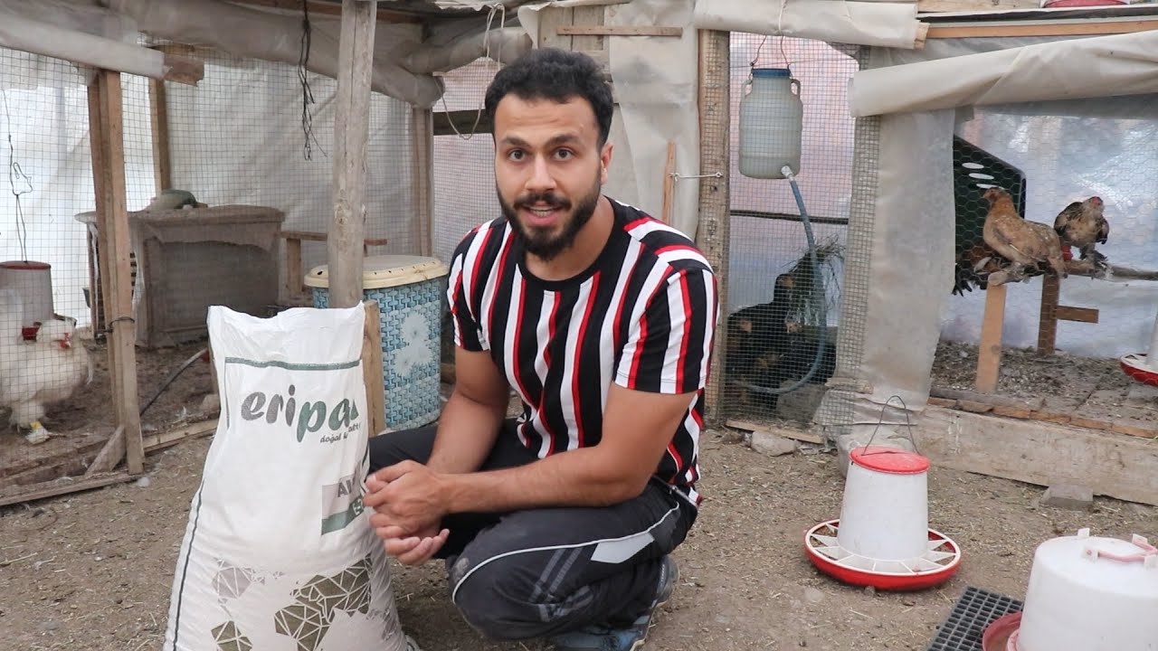 Kokuya Bite SON Yeni Nesil Tavuk Altlığı -Eripad