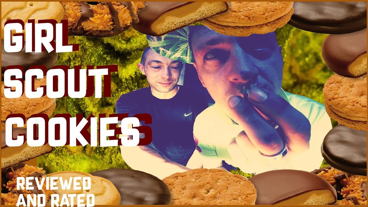 We get SO STONED filming this Review!!! - Girl Scout Cookies (UK) Weed Review/Cannabis Strain Rating