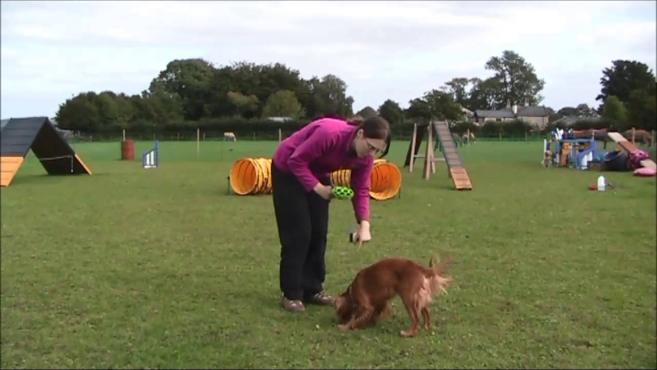 Forward Focus for Agility