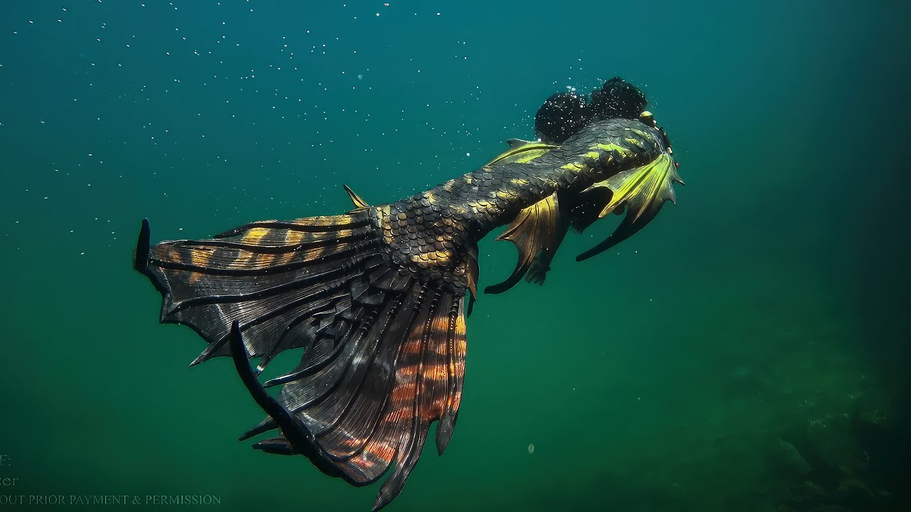 DARK MERMAID IN THE WATER 💀 Mermaid Shadow the Pirate Mermaid's First Underwater Swim Video