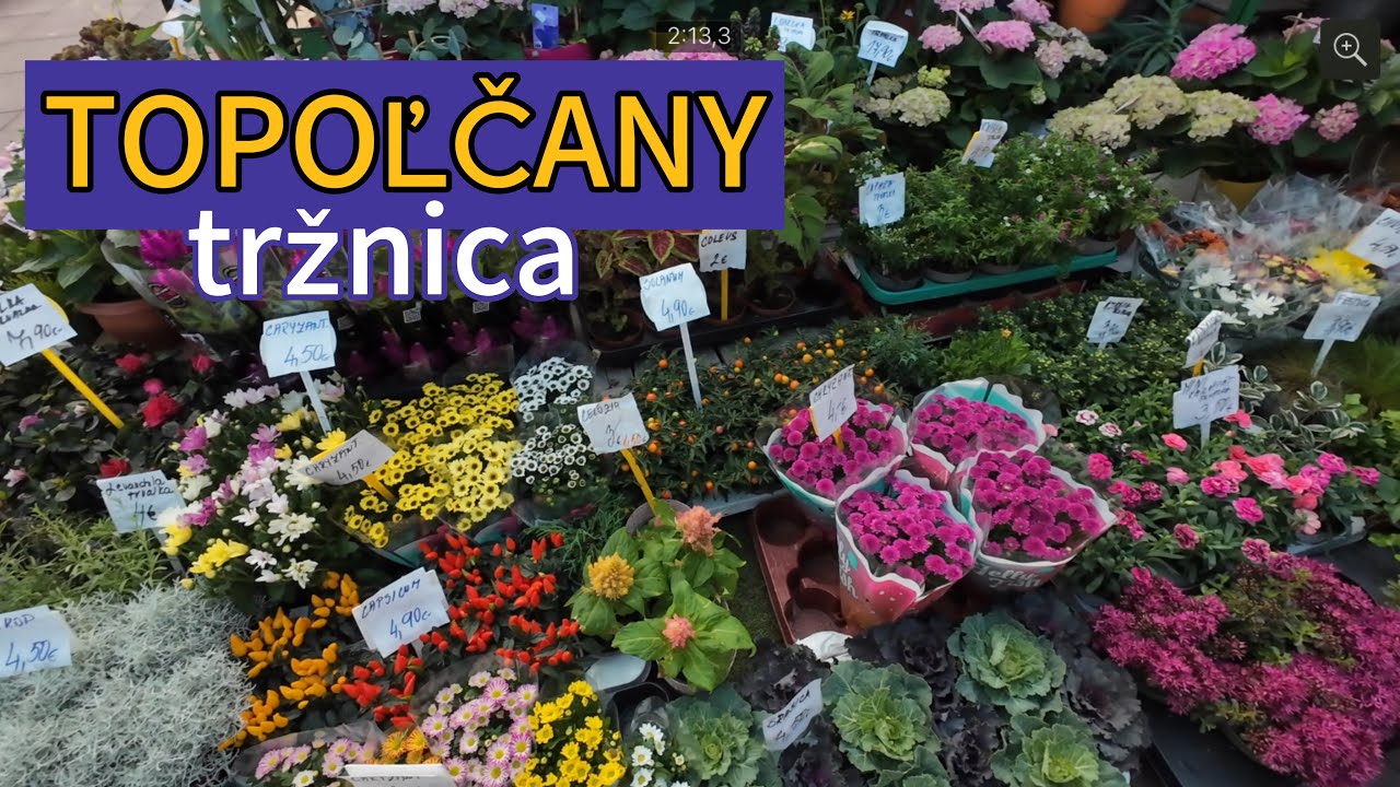 Mestská tržnica 💐🌸plná kvetov v TOPOĽČANOCH