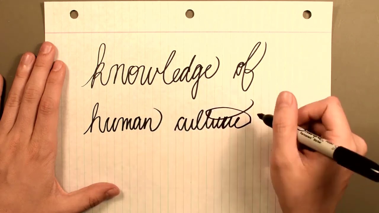 Understanding General Education Stetson University