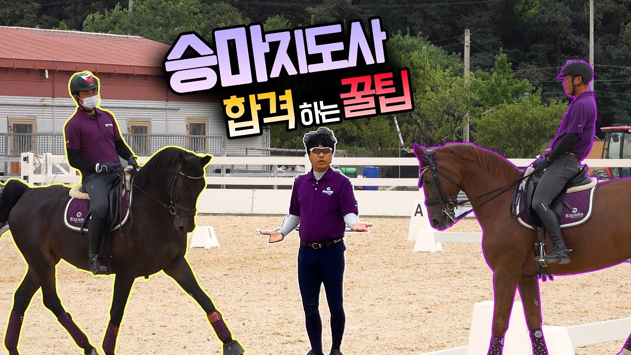 승마지도사 합격하는 꿀팁 (기초 마장마술 - D클래스 꿀팁) [엑셀로 승마 꿀팁 제11화]