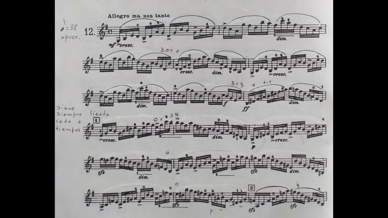 Heinrich Ernest Kayser. Violin Etudes Op. 20, Nº 12 - FABRICIO VALVASORI