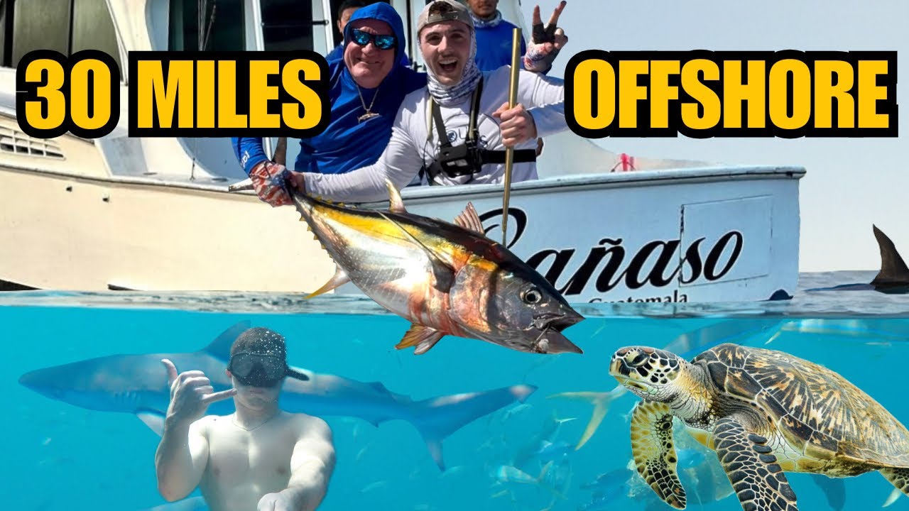 I Jumped in.... 30 Miles Offshore in Guatemala (TURTLES & TUNA)