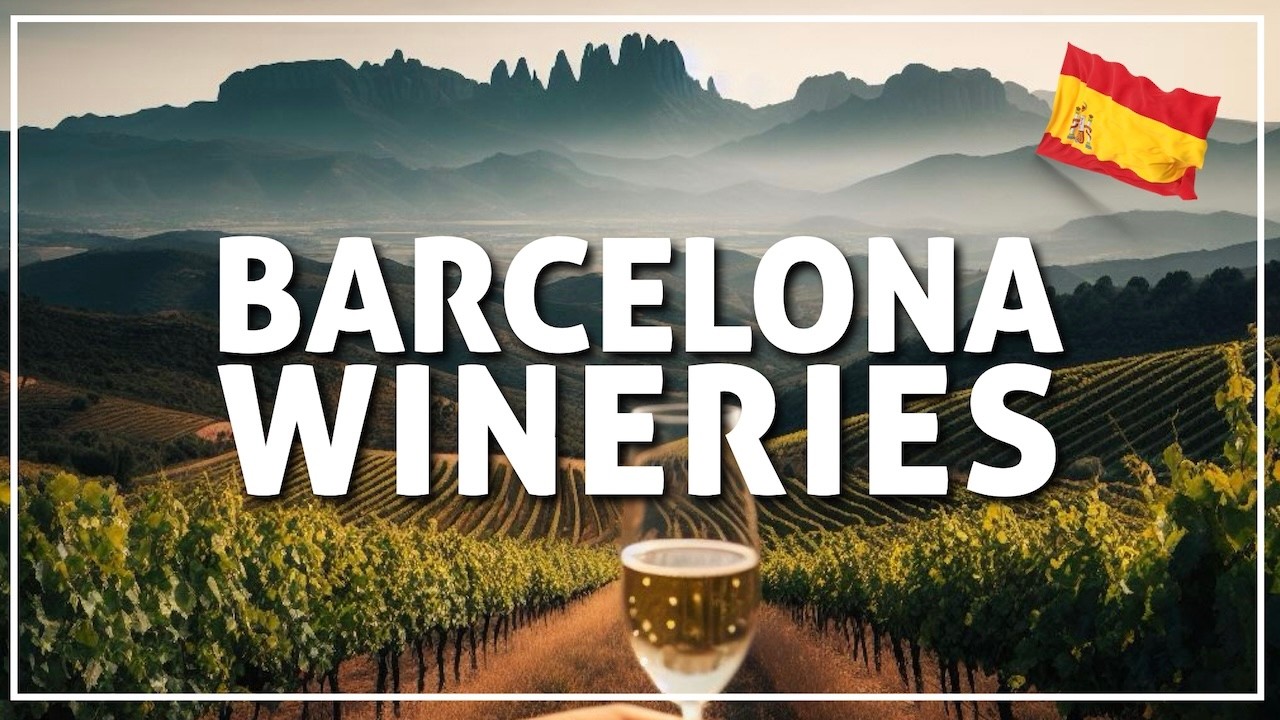 ❇️ a day trip from BARCELONA to the LAND OF CAVA WINE 🥂 #145