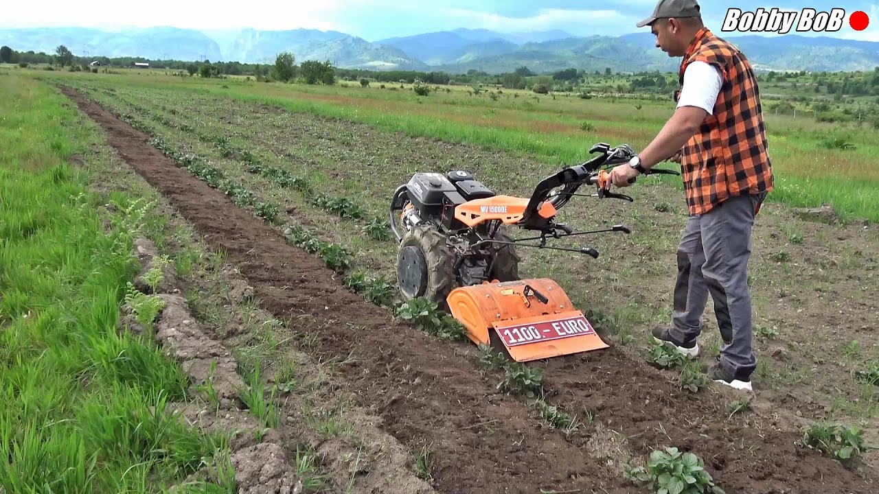 La cartofi in camp cu freza tractata redusa la 54cm / O'Mac MV15000e