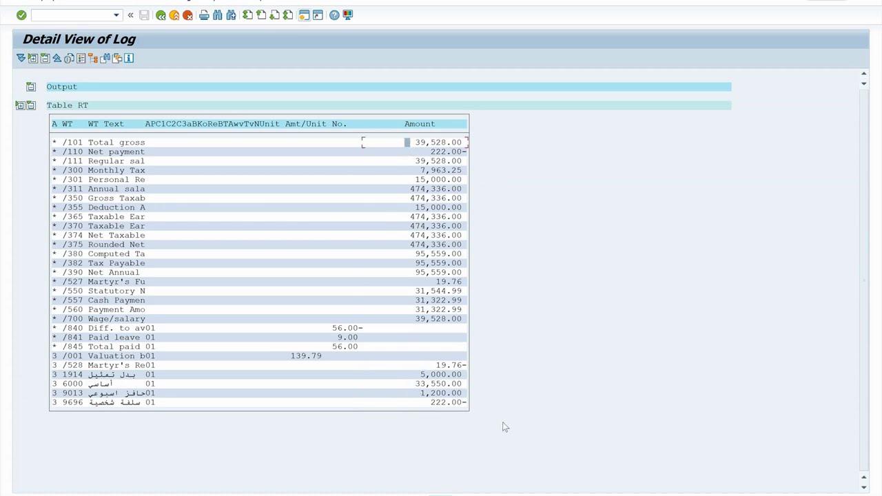 SAP HCM PAYROLL  End user (payroll_V4) AR بالعربية