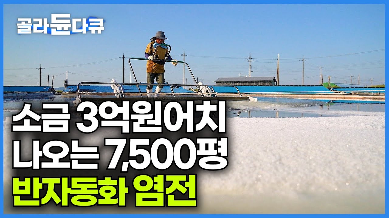 한 해 3억 원어치 천일염 만드는 7,500평 반자동화 염전의 모습｜소금의 섬 비금도｜PD로그｜#골라듄다큐