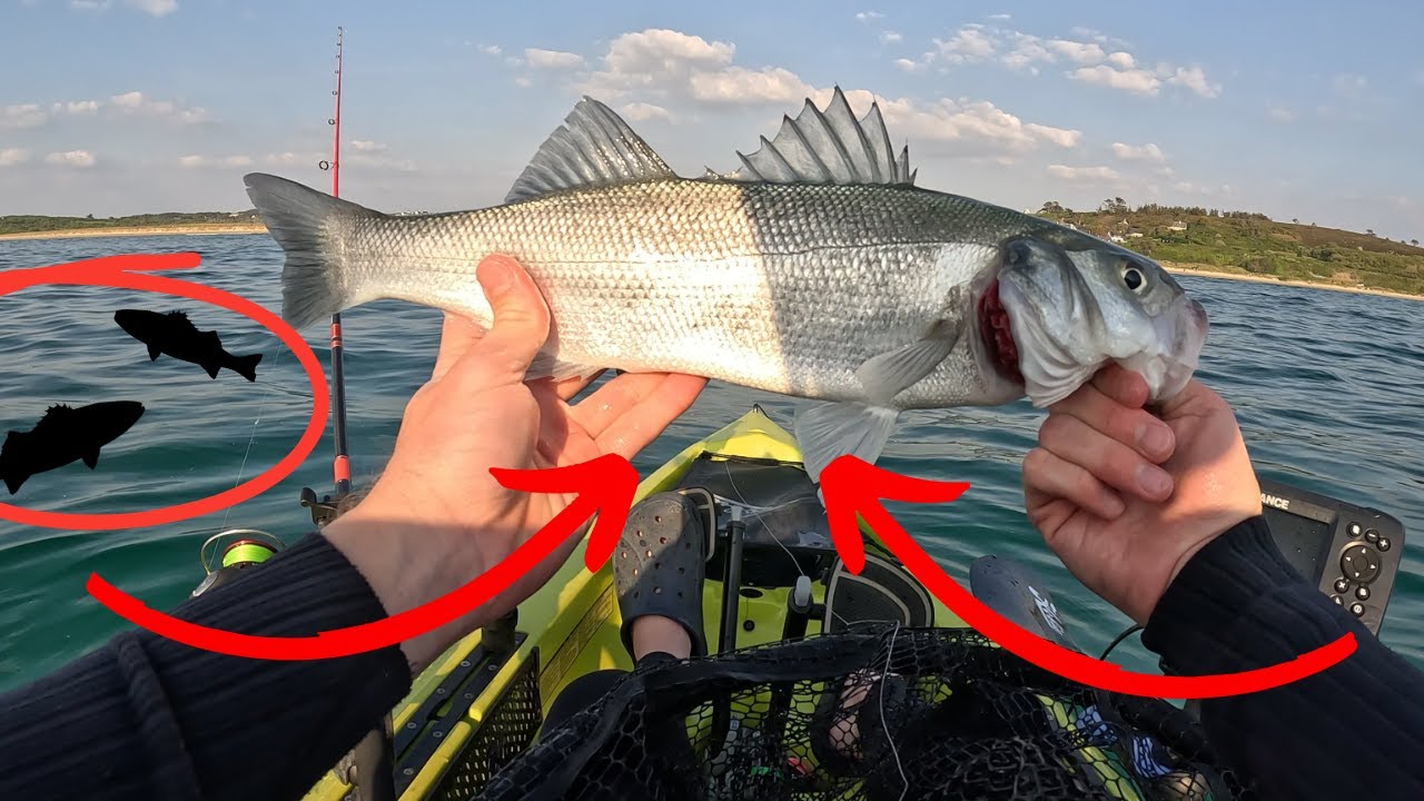 REPRISE DE LA P&Ecirc;CHE DU BAR EN KAYAK ! DES BARS PARTOUT !!!!