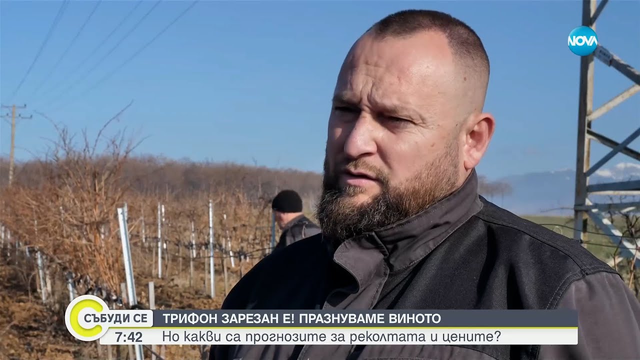 Пътят на виното: Как винопроизводителите посрещат Трифон Зарезан? - Събуди се...(01.02.2025)