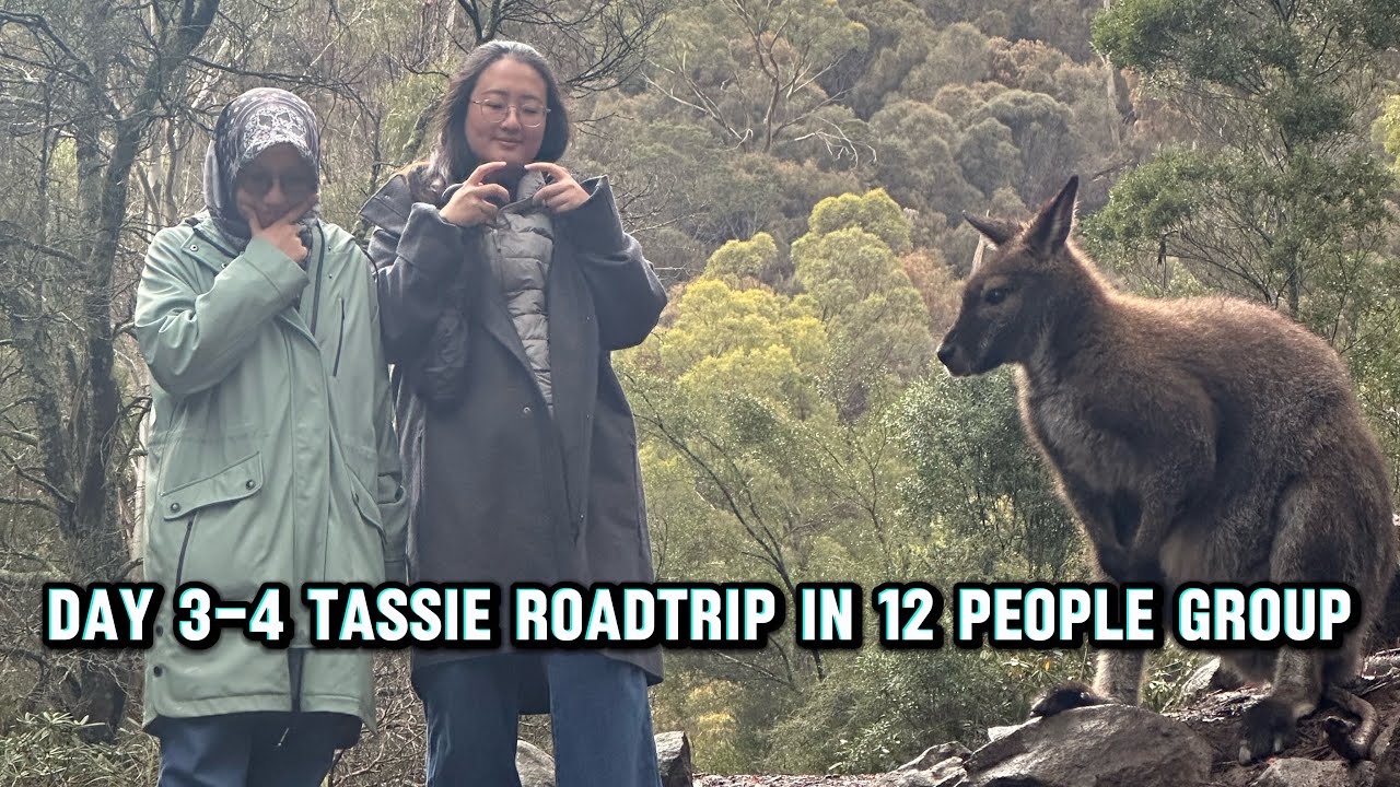 Tasmania Trip Day 3-4! Air Terjun, Queenstown, Etc