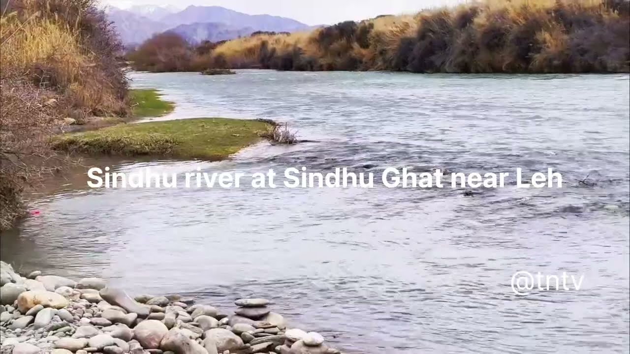 Is this the most peaceful spot in Leh? #tntv #trending #viral #leh #travel
