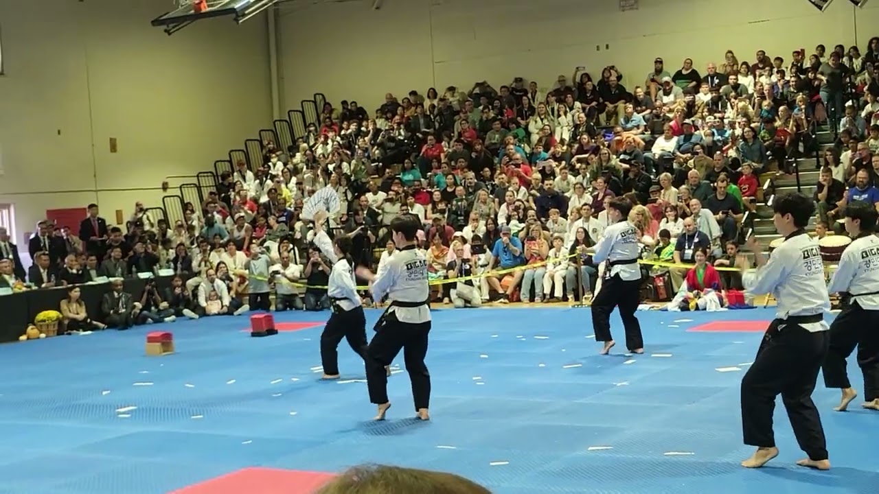 Taekwondo Demo Part 1/2 by Taekwondo Diplomacy Corp from South Korea\